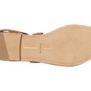 Incaltaminte Femei Dolce Vita Jazzy Dark Saddle Suede