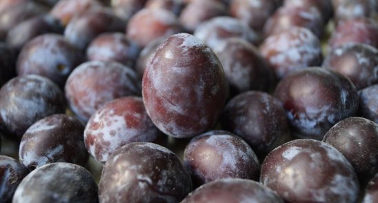 Foarte tare! Uite ce efect uimitor are consumul de cinci prune pe zi!