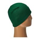 Accesorii Femei Patagonia Lined Beanie Wild PlacesHunter Green