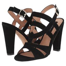 Incaltaminte Femei Steve Madden Cassndra Black Suede