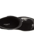 Incaltaminte Femei COACH Lester Black Shiny Rubber