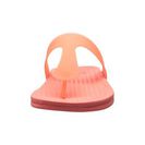 Incaltaminte Femei Native Shoes Blanca Popstar Orange