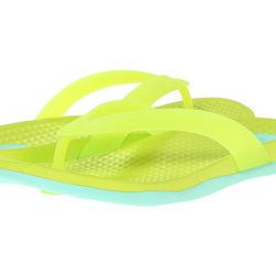Incaltaminte Femei Native Shoes Paolo Chartreuse GreenGlass Green