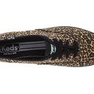 Incaltaminte Femei Keds Champion Leopard Tan