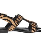 Incaltaminte Femei Pierre Balmain 6M5A22 80712 V001 Zebra