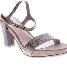 Azura Avezzano Brown Python