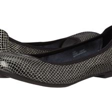 Born Julianne Platino (Black) Printed Snake