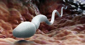 Beneficiile uriase ale spermei pentru sanatatea femeilor! Nimeni nu stia asta!