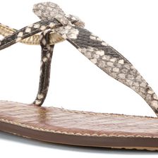 Sam Edelman Gigi Putty