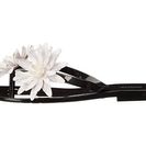 Incaltaminte Femei Melissa Shoes Harmonic Garden III BlackWhite