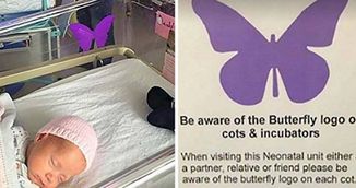 Atentie! Daca vezi vreodata acest fluture mov pe patutul bebelusului, nu-i intreba niciodata pe parinti despre el! 