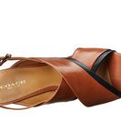 Incaltaminte Femei COACH Haley SaddleBlack Semi Matte Calf