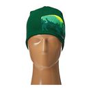 Accesorii Femei Patagonia Lined Beanie Wild PlacesHunter Green