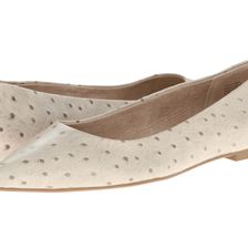 Seychelles Well-Known Light Grey Ostrich