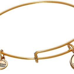 Alex and Ani Yale University Logo Charm Bangle Rafaelian Gold Finish