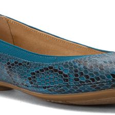 Bandolino Edition Blue Snake