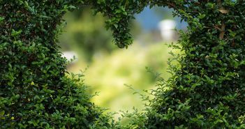 Cele trei zodii care vor avea cea mai romantica primavara Cele trei zodii care vor avea cea mai romantica primavara