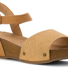 Rocket Dog Gem Natural Snakewood