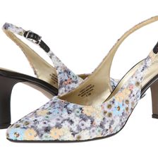 David Tate Lace Black Multi