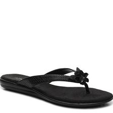 Incaltaminte Femei Aerosoles Branchlet Flat Sandal Black