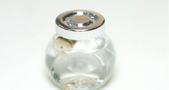 A lasat la inmuiat peste noapte un dop de pluta in spirt! Ce a observat dimineata!