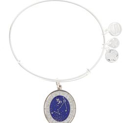 Alex and Ani Constellation Bangle Bracelet SHINY SILVER FINISH