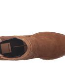 Incaltaminte Femei Dolce Vita Jethro Dark Saddle Suede