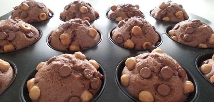 Briose de ciocolata fara ou si fara faina!