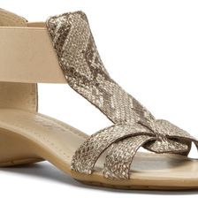 The FLEXX Band Together Bronzo Cricket Vip