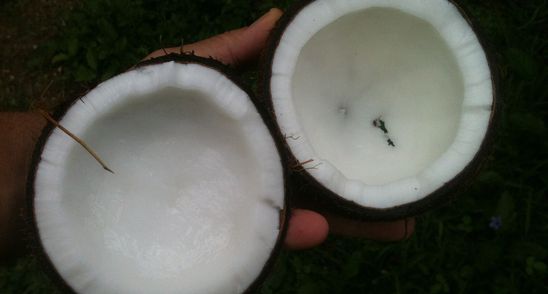 I-a dat sotului ei o lingura de ulei de cocos de doua ori pe zi, timp de o luna! Uite ce lucru uimitor i s-a intamplat apoi!