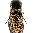 Incaltaminte Femei Cole Haan ZeroGrand Genuine Calf Half Leopard Wingtip Sneaker OCELOT HC