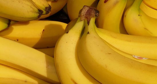 Dieta japoneza cu banane! Slabesti 5 kilograme pe saptamana!
