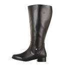 Incaltaminte Femei Fitzwell Temecula Extra Wide Calf Boot Black