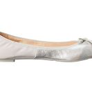 Incaltaminte Femei Cole Haan Manhattan Demi Ballet Silver Iridescent