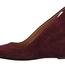 Incaltaminte Femei Calvin Klein Celesse Dark Cherry Kid Suede