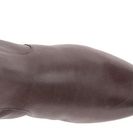 Incaltaminte Femei Born Pruitt ElephantGrey Full Grain Leather