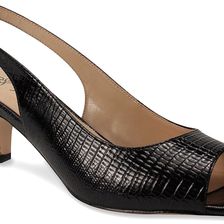 J. Renee Classie Black