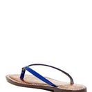 Incaltaminte Femei Sam Edelman Gracie Sandal BLUE