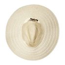 Accesorii Femei Vince Camuto Lurex Shine Braided Wide Brim Hat Tan