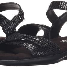 Walking Cradles Sky-3 Black Snake Print