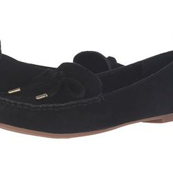 Incaltaminte Femei Steve Madden Weverly Black Suede