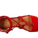 Incaltaminte Femei COACH Barkley Carmine Suede
