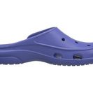 Incaltaminte Femei Crocs Freesail Clog Lapis