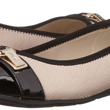 Anne Klein Able Ivory Multi Fabric