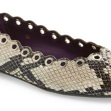 Vaneli 'Baby' Grommet Ballet Flat (Women) ROCCIA PRINT