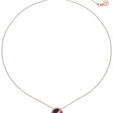 Michael Kors Brilliance Disc Necklace Rose Gold/Blush Tortoise/Clear