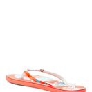 Incaltaminte Femei Roxy Mimosa Flip Flop Sandal RED-RED