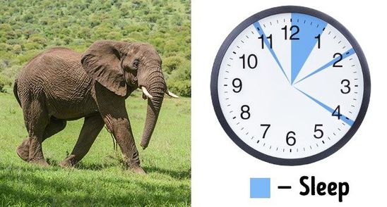 Programul de somn care iti permite sa dormi 2,5 ore pe noapte fara sa fii obosita!