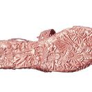 Incaltaminte Femei Melissa Shoes Campana Barroca Sandal Rose Gold