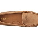 Incaltaminte Femei COACH Amber Camel Calf Suede